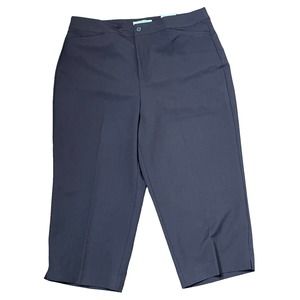 Christopher &‎ Banks Capri Pants Size 10 Brown Classic Fit Stretch Womens 32X20